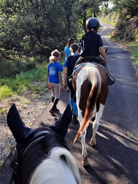 Centro estivo Savona Grillo Gaucho