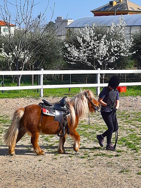 Centro estivo Savona Grillo Gaucho