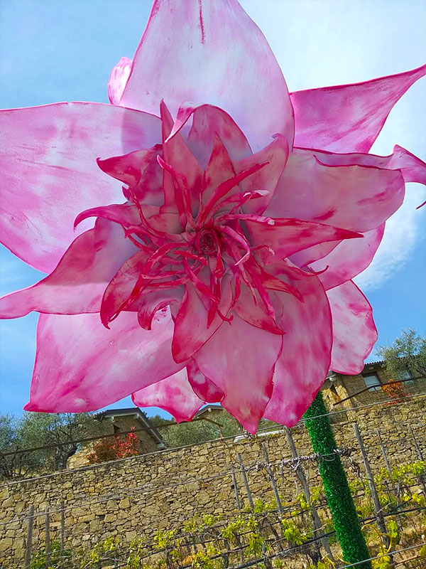 Corso di Fiori Giganti Savona