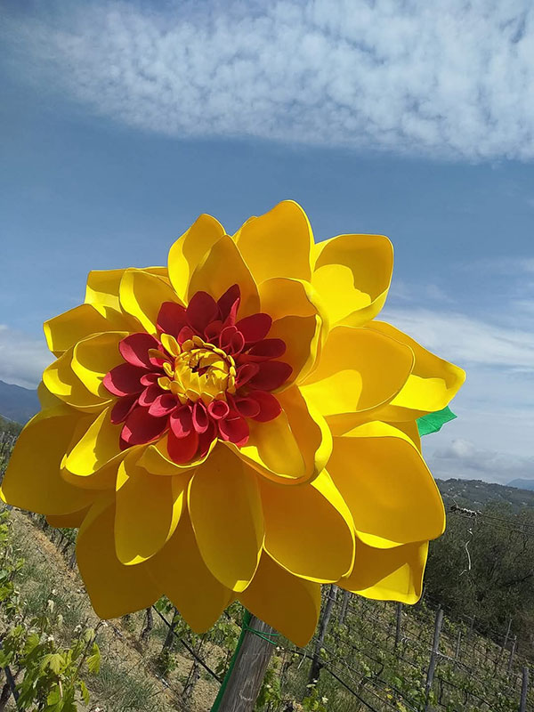 Corso di Fiori Giganti Savona
