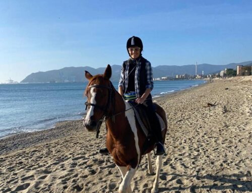 Novità: possibilità di gita a Cavallo sulla spiaggia e nell’entroterra ligure
