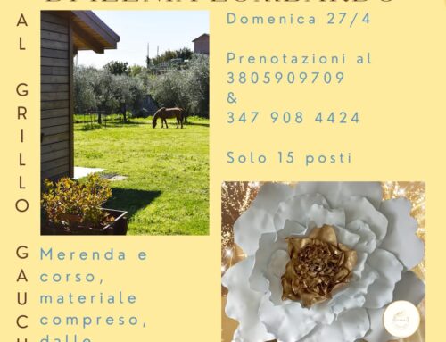 Corso di Fiori Giganti al Grillo Gaucho!